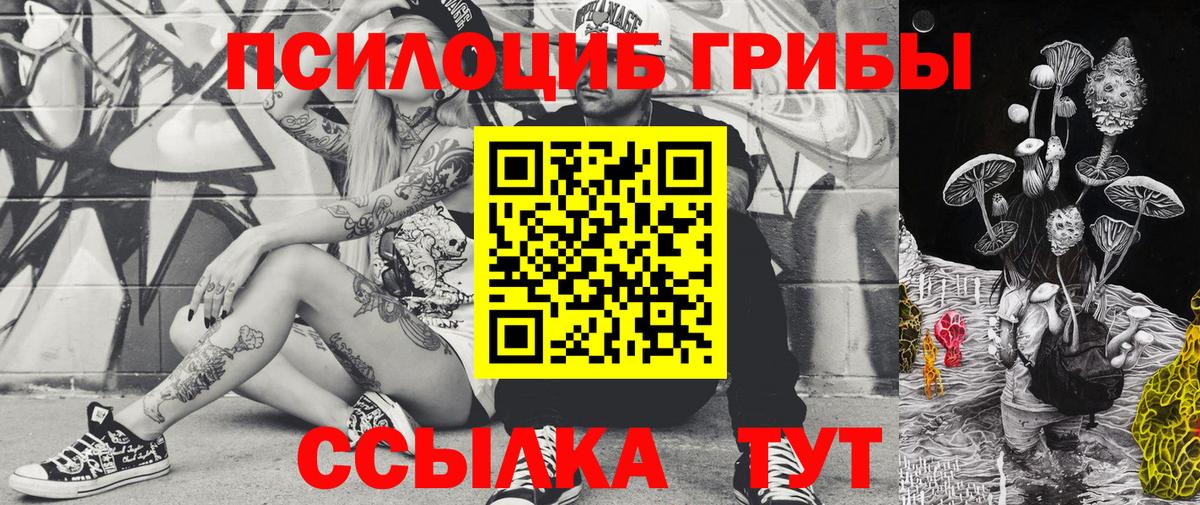 Нурлат  Псилоцибиновые грибы прущие грибы  Вход с VPN 
