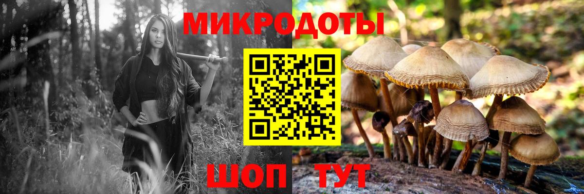 Галлюциногенные грибы Cubensis Нурлат